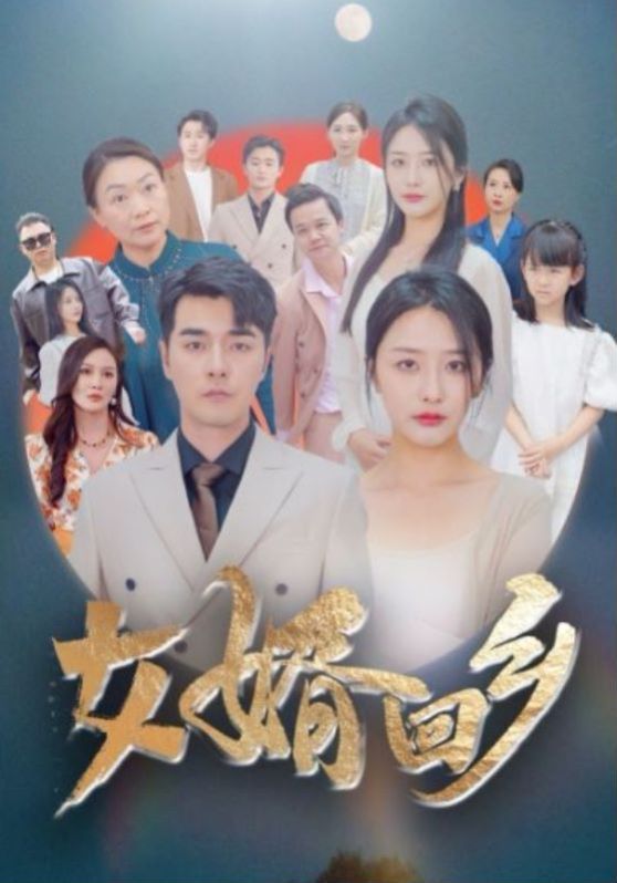 女婿回乡全集(大结局)