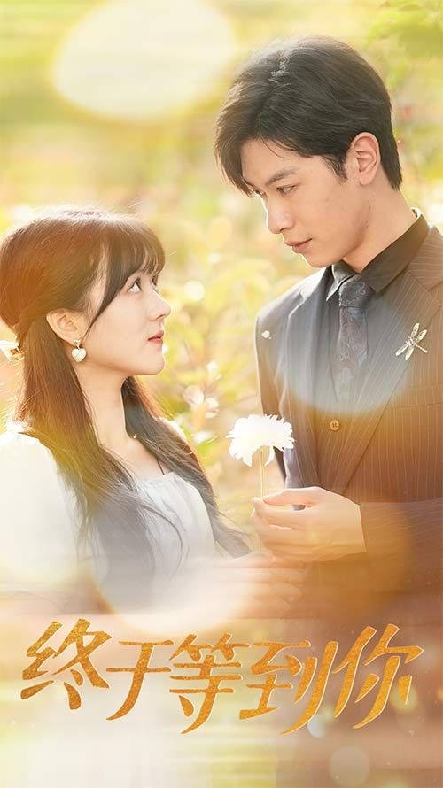 终于等到你（你是我的木槿年华）第41-60集