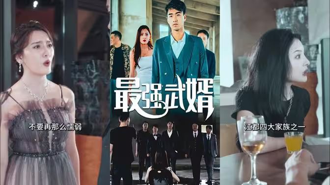 最强武婿第41-60集