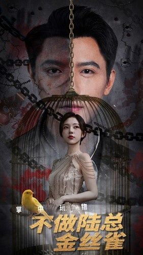 掌中玩物不做陆总金丝雀第41-60集