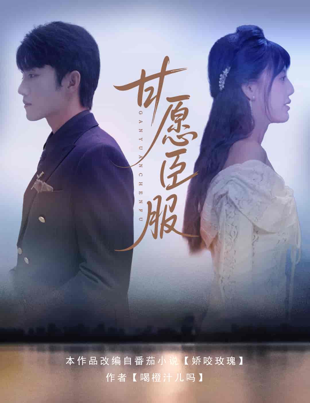 高考之向阳而生(全集)