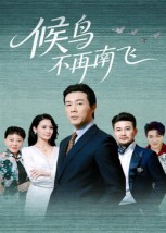 候鸟不再南飞(全集)