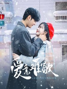 爱意难歇第01-30集